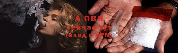 винт Абаза