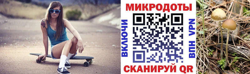 Псилоцибиновые грибы мухоморы mega маркетплейс это наркотические препараты Сычёвка